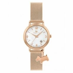 Radley Scottie Dog Gold Watch Women Gold Mix -Casio Shop unnamed file 1173